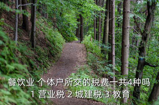 個體餐飲業(yè)交什么稅，餐飲業(yè) 個體戶所交的稅費一共4種嗎 1 營業(yè)稅 2 城建稅 3 教育
