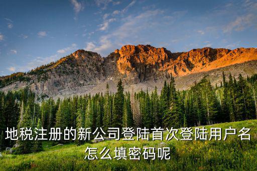 地稅登錄名密碼是什么，地稅申報(bào)的用戶名和密碼是什么