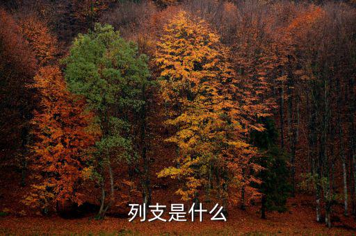 賠付支出能列支什么意思，列支是什么意思