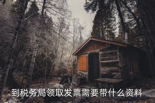 日常領(lǐng)購發(fā)票需要帶什么，到稅務(wù)局領(lǐng)取發(fā)票需要帶什么資料