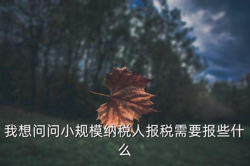 小規(guī)模國稅申報些什么，小規(guī)模納稅人國稅需要報什么資料
