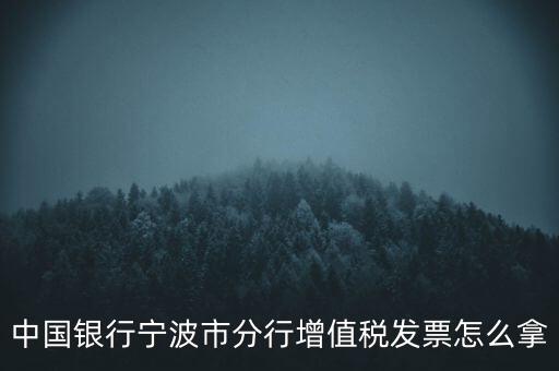 寧波國(guó)稅過發(fā)票要帶什么，浙江地區(qū)公司首次拿發(fā)票去國(guó)稅局需要帶什么證件