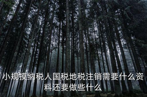 國地稅注銷需要什么，小規(guī)摸納稅人國稅地稅注銷需要什么資料還要做些什么