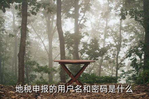 地稅申報(bào)的用戶(hù)名和密碼是什么