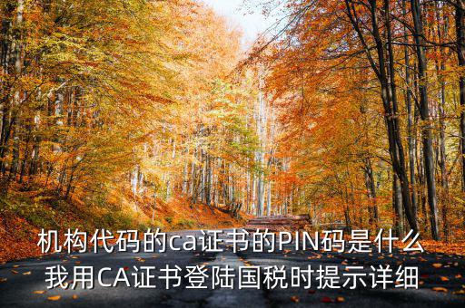 國稅ca證書登錄 密碼是什么，國稅第一次網(wǎng)上申報(bào)的登陸密碼是什么