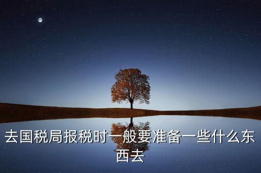 去國稅局都是帶什么東西，去國稅定稅要帶哪些東西啊我暈倒了以前從來沒定過