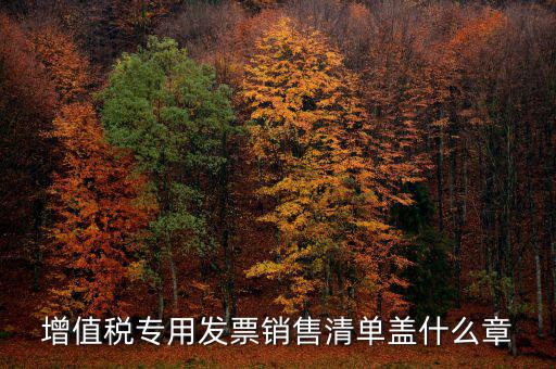 發(fā)票報銷要蓋什么章，增值稅專用發(fā)票銷售清單蓋什么章