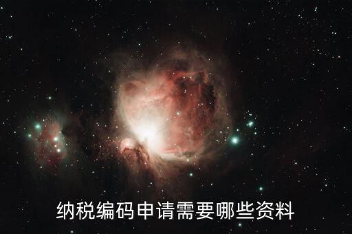 預約繳稅號需提供什么資料，納稅編碼申請需要哪些資料