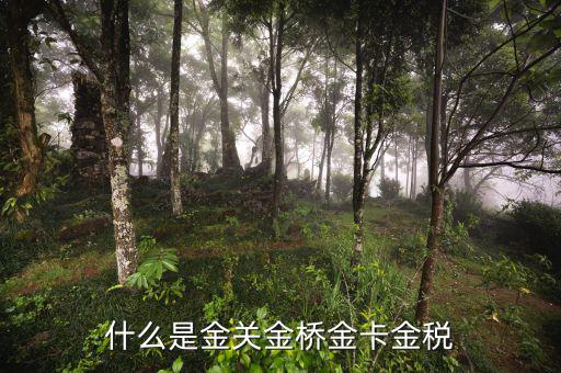 金稅公司是做什么的，什么是金關金橋金卡金稅