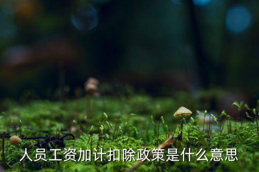 加計(jì)扣除有什么條件，人員工資加計(jì)扣除政策是什么意思