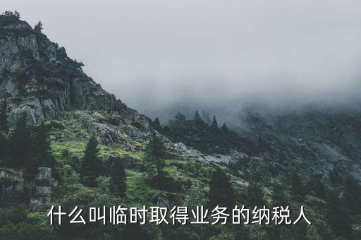 什么叫臨時取得業(yè)務(wù)的納稅人