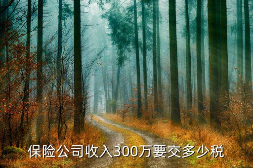 保險代理公司交什么稅，保險公司收入300萬要交多少稅