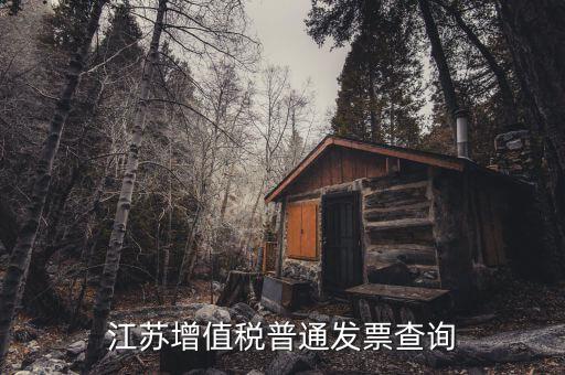 江蘇國稅網(wǎng)站運行的環(huán)境是什么，江蘇國稅徐州網(wǎng)站怎么上不去