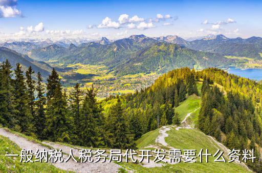 一般納稅人稅務局代開發(fā)需要什么資料