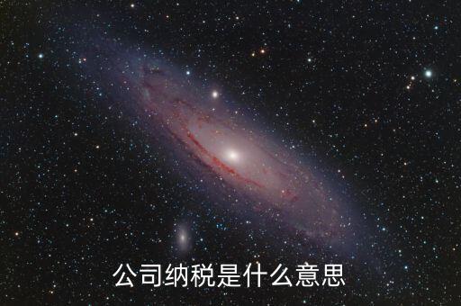 企業(yè)納稅是指什么，企業(yè)交稅是什么意思