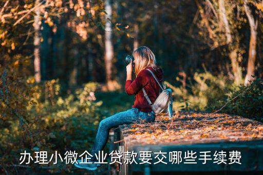 貴陽市小微企業(yè)申請要交什么，申請小微企業(yè)需要什么