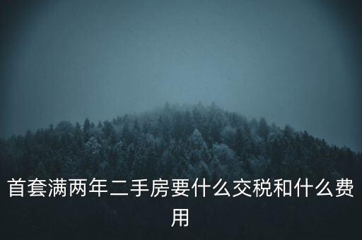 首套滿兩年二手房要什么交稅和什么費用