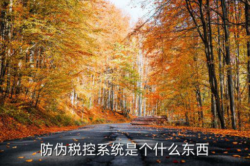 防偽稅控一體化什么時(shí)候，營(yíng)改增后漢字防偽企業(yè)抄報(bào)稅時(shí)需要使用什么設(shè)備