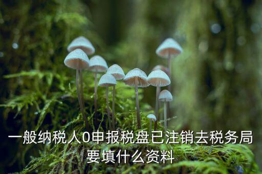 注銷金稅盤需要帶什么資料，請問注銷稅務登記需要提供哪些資料