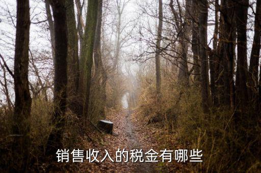 銷售交什么稅，銷售收入的稅金有哪些