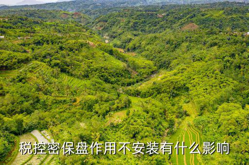 稅控盤有什么作用，增值稅發(fā)票備用盤有什么用