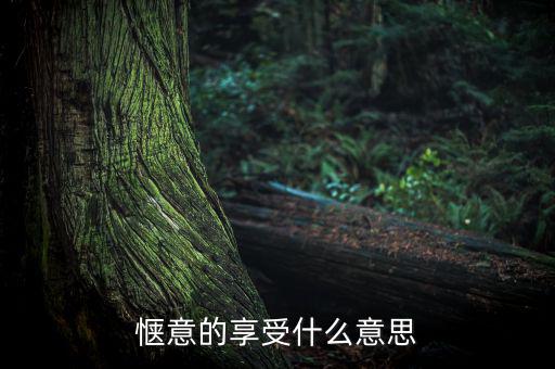 應(yīng)享盡享什么意思，愜意的享受什么意思