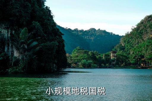 小規(guī)模的國稅是什么，營改增后國稅小規(guī)模納稅稅種有哪些