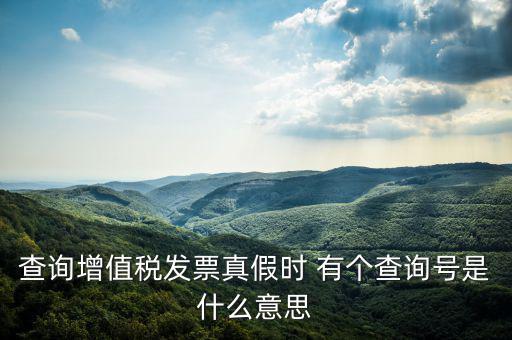 陜西省發(fā)票查詢(xún)號(hào)是什么意思，電子發(fā)票號(hào)碼是什么意思