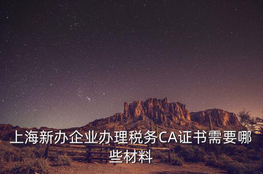 2014年7月份上海稅務(wù)局還需要審什么證，上海新辦企業(yè)辦理稅務(wù)CA證書需要哪些材料
