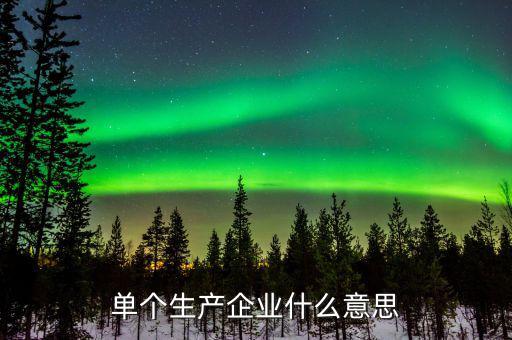 列名生產(chǎn)企業(yè)是什么意思，單個生產(chǎn)企業(yè)什么意思