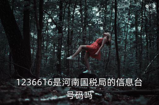 河南省國家稅務(wù)局賬號(hào)是什么，登錄國稅網(wǎng)上辦稅服務(wù)廳的用戶名和密碼是什么