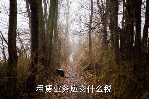 租賃業(yè)務應交什么稅