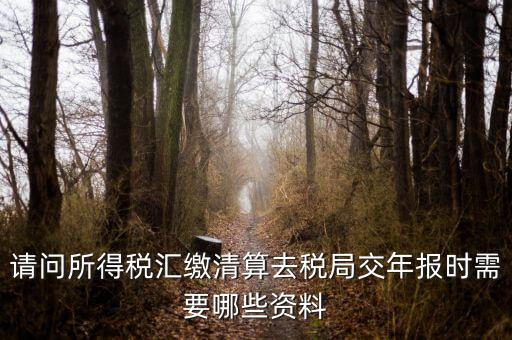 公司稅務(wù)年報(bào)需要什么，問(wèn)企業(yè)所得稅年報(bào)怎么報(bào)需要什么資料