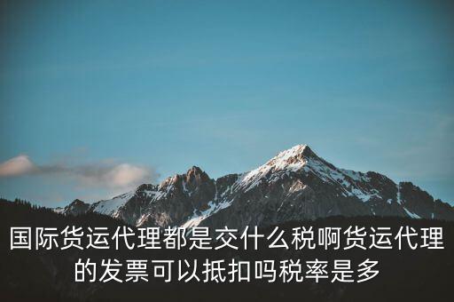 貨代公司交什么稅，國際貨運(yùn)代理都是交什么稅啊貨運(yùn)代理的發(fā)票可以抵扣嗎稅率是多