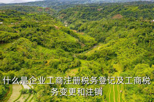 登記稅務(wù)是什么，什么是納稅人稅務(wù)登記名稱(chēng)