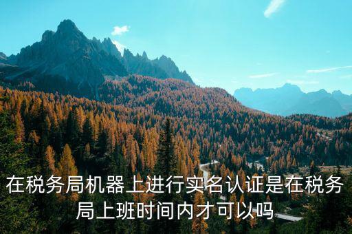 國稅實名制認證要什么時候，太原萬柏林國稅局實名認證截至日期