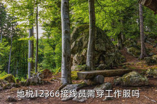 12366地稅主要負(fù)責(zé)什么，地稅是指什么