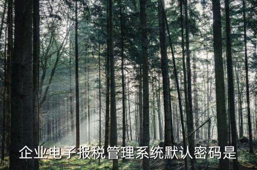 電子稅務(wù)局的初始密碼是什么，稅務(wù)局網(wǎng)站的登入賬戶初始密碼是什么