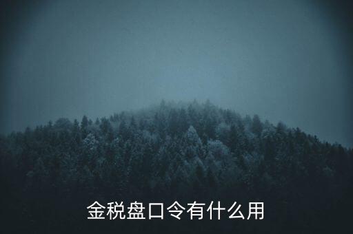 報(bào)稅數(shù)字證書口令是什么，陜西天暢偉業(yè)的網(wǎng)上報(bào)稅系統(tǒng)的登錄口令是什么