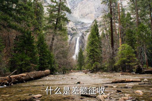 什么是差額征稅，什么是差額稅