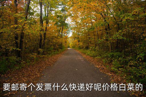 深圳國稅發(fā)票是寄什么快遞，寄發(fā)票用什么快遞