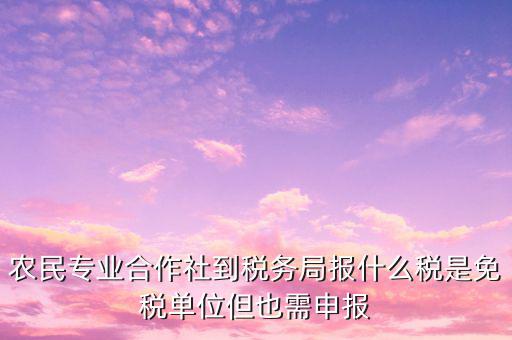 農(nóng)村合作社交什么稅，農(nóng)民合作社每個月要申報(bào)什么稅