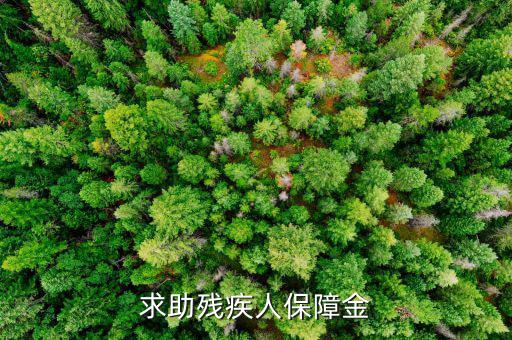 殘疾人保障金什么意思，求助殘疾人保障金