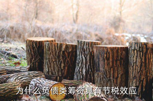 什么是節(jié)稅，為什么負(fù)債類籌資具有節(jié)稅效應(yīng)