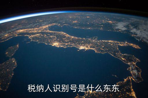 企業(yè)稅務(wù)識別號是什么意思，稅納人識別號是什么東東