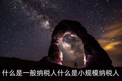 什么企業(yè)是一般納稅人，什么叫一般納稅人我如何辨別自己公司是否是一般納稅人