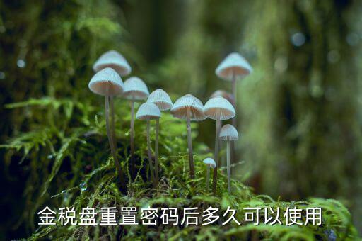 ca國稅密碼重置后是什么，樂稅社區(qū)稅友提問CA登錄時(shí)的密碼是什么納稅人自己定的還是稅