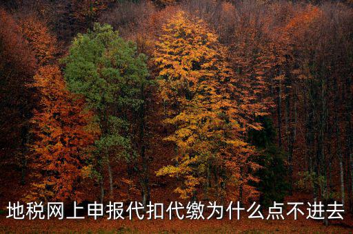 地稅從租計(jì)征為什么無(wú)法點(diǎn)開(kāi)，地稅網(wǎng)上申報(bào)代扣代繳為什么點(diǎn)不進(jìn)去