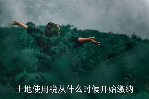 城鎮(zhèn)土地使用稅什么時候交，房地產(chǎn)開發(fā)企業(yè)繳納城鎮(zhèn)土地使用稅的時間是多久
