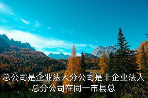非總分機構(gòu)是什么，納稅人基本情況表沒有總分機構(gòu)總機構(gòu)名稱等還要不要填